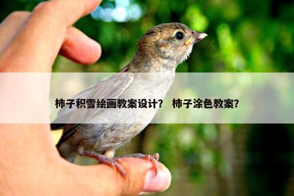 柿子积雪绘画教案设计？ 柿子涂色教案？