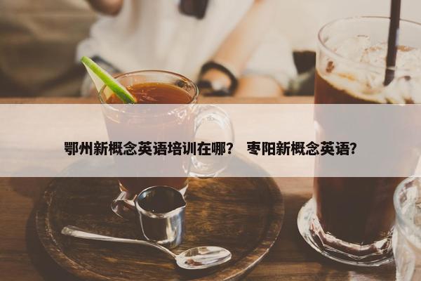 鄂州新概念英语培训在哪？ 枣阳新概念英语？