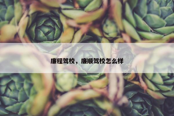 廉程驾校，廉顺驾校怎么样
