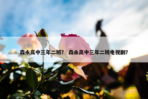 森永高中三年二班？ 森永高中三年二班电视剧？