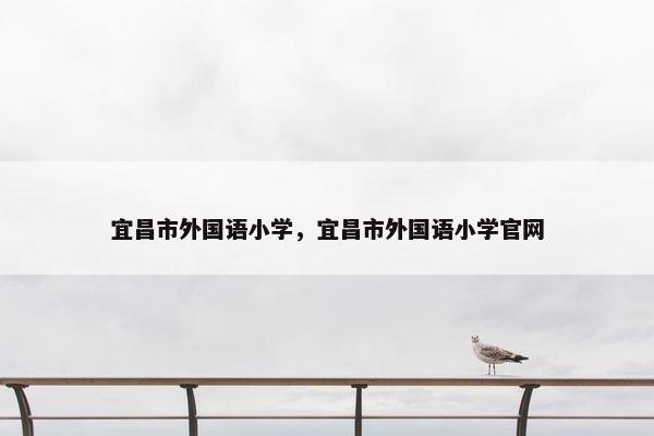宜昌市外国语小学，宜昌市外国语小学官网