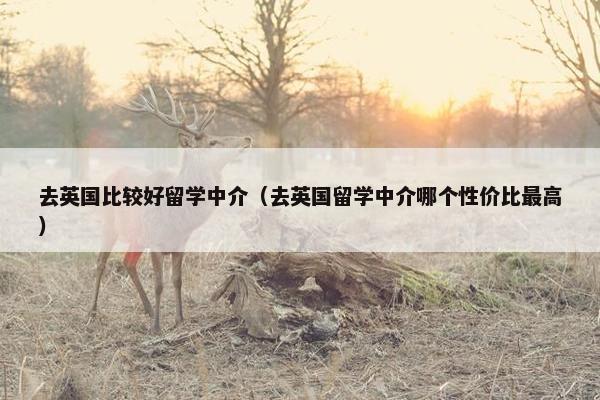 去英国比较好留学中介（去英国留学中介哪个性价比最高）