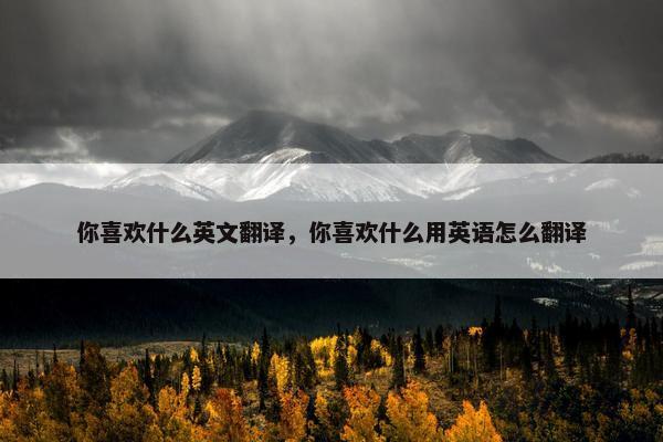 你喜欢什么英文翻译，你喜欢什么用英语怎么翻译