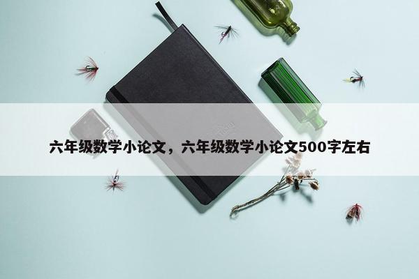 六年级数学小论文，六年级数学小论文500字左右