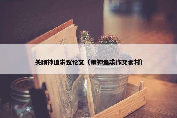 关精神追求议论文（精神追求作文素材）