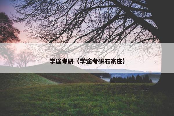 学途考研（学途考研石家庄）