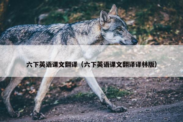 六下英语课文翻译（六下英语课文翻译译林版）