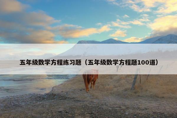 五年级数学方程练习题（五年级数学方程题100道）