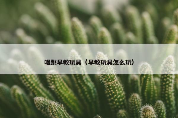 唱跳早教玩具（早教玩具怎么玩）