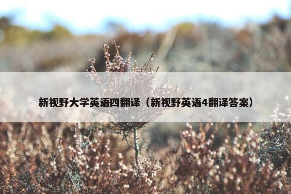 新视野大学英语四翻译（新视野英语4翻译答案）