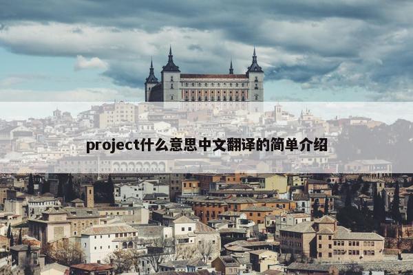 project什么意思中文翻译的简单介绍