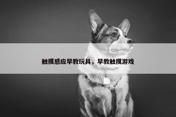 触摸感应早教玩具，早教触摸游戏