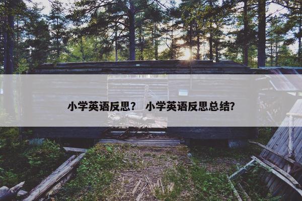 小学英语反思？ 小学英语反思总结？