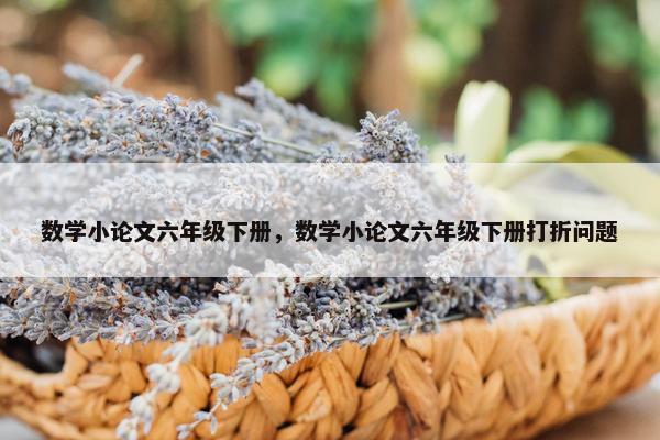 数学小论文六年级下册，数学小论文六年级下册打折问题