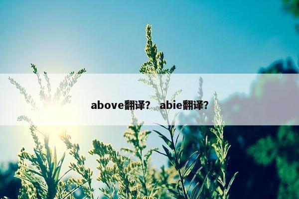 above翻译？ abie翻译？