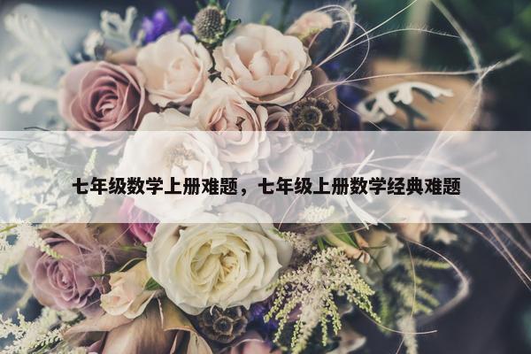 七年级数学上册难题，七年级上册数学经典难题