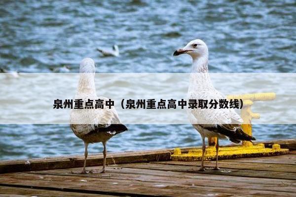 泉州重点高中（泉州重点高中录取分数线）