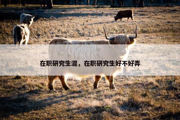 在职研究生混，在职研究生好不好弄