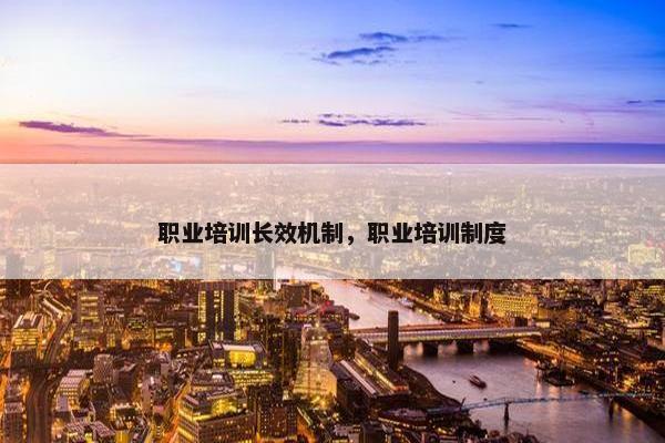 职业培训长效机制，职业培训制度