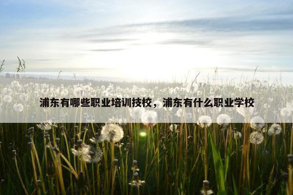 浦东有哪些职业培训技校，浦东有什么职业学校