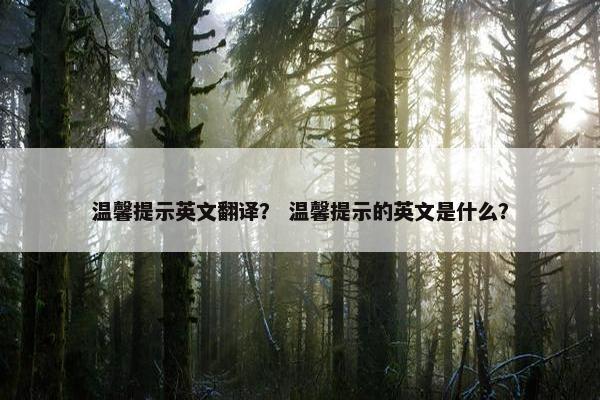 温馨提示英文翻译？ 温馨提示的英文是什么？