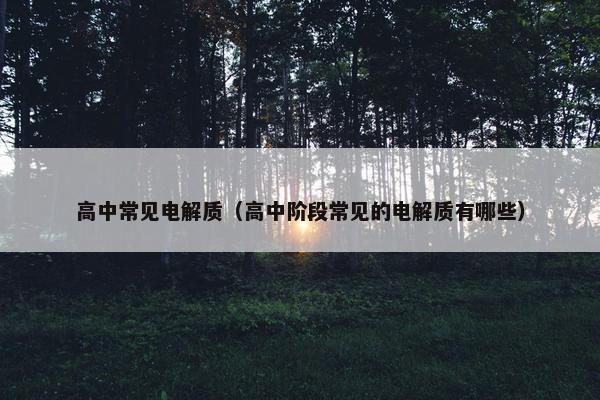 高中常见电解质（高中阶段常见的电解质有哪些）