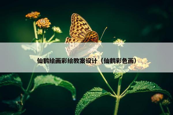 仙鹤绘画彩绘教案设计（仙鹤彩色画）