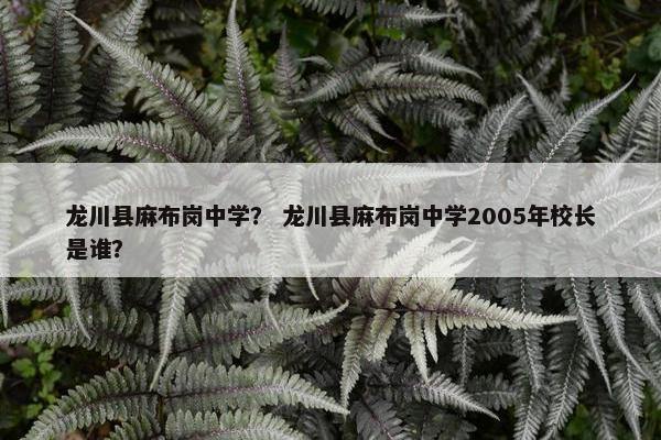 龙川县麻布岗中学？ 龙川县麻布岗中学2005年校长是谁？