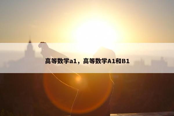 高等数学a1，高等数学A1和B1