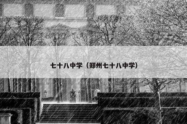 七十八中学（郑州七十八中学）