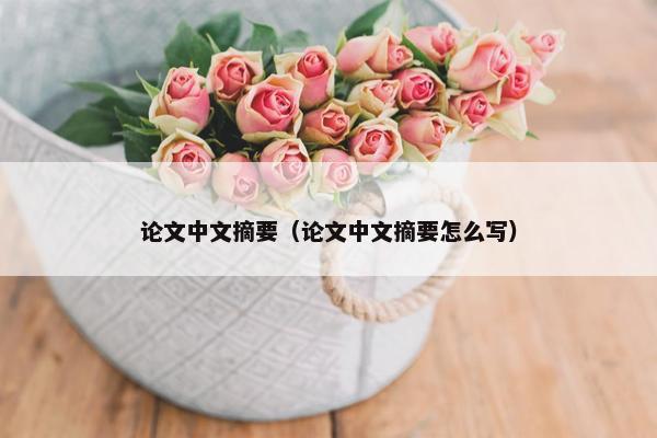 论文中文摘要（论文中文摘要怎么写）