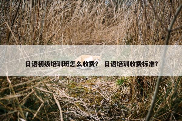 日语初级培训班怎么收费？ 日语培训收费标准？