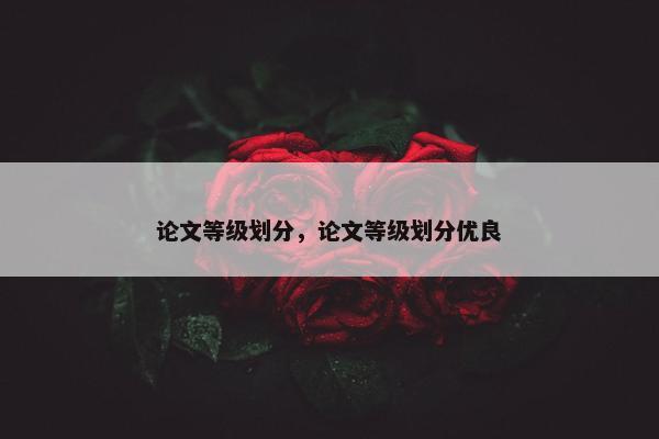 论文等级划分，论文等级划分优良