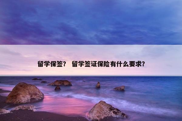留学保签？ 留学签证保险有什么要求？