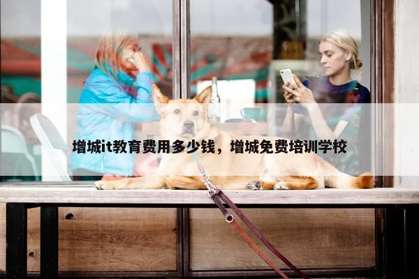 增城it教育费用多少钱，增城免费培训学校