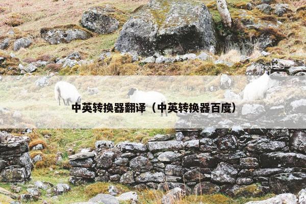 中英转换器翻译（中英转换器百度）