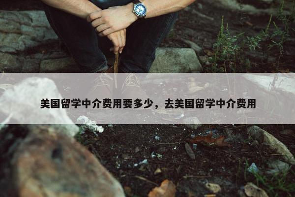 美国留学中介费用要多少，去美国留学中介费用