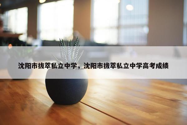沈阳市拔萃私立中学，沈阳市拔萃私立中学高考成绩