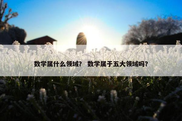数学属什么领域？ 数学属于五大领域吗？