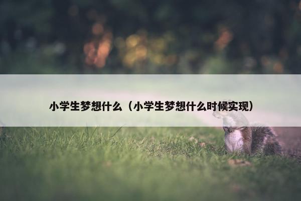 小学生梦想什么（小学生梦想什么时候实现）
