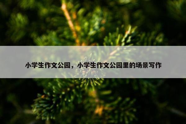 小学生作文公园，小学生作文公园里的场景写作