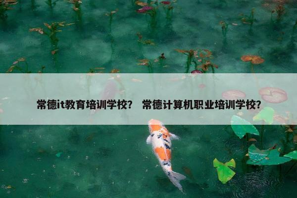 常德it教育培训学校？ 常德计算机职业培训学校？