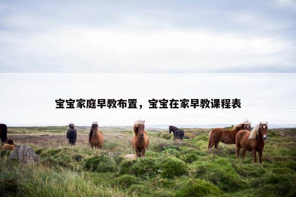 宝宝家庭早教布置，宝宝在家早教课程表