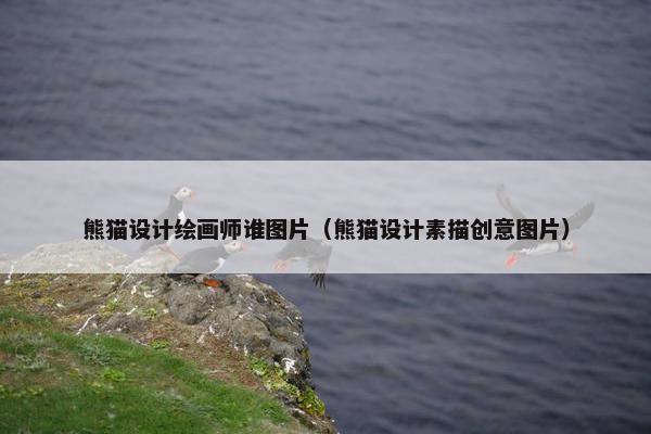 熊猫设计绘画师谁图片（熊猫设计素描创意图片）