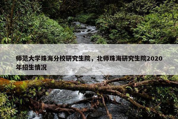 师范大学珠海分校研究生院，北师珠海研究生院2020年招生情况