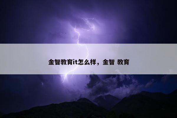 金智教育it怎么样，金智 教育