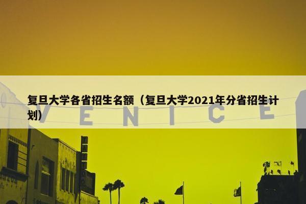 复旦大学各省招生名额（复旦大学2021年分省招生计划）