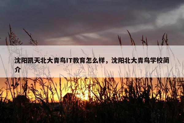 沈阳凯天北大青鸟IT教育怎么样，沈阳北大青鸟学校简介