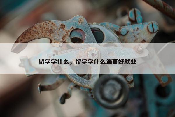 留学学什么，留学学什么语言好就业