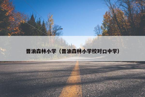 晋渝森林小学（晋渝森林小学校对口中学）